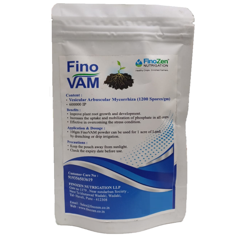 Vesicular Arbuscular Mycorrhiza 100 gm (1200 Spores/gm)