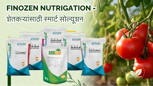 Fertilizers & Micronutrients